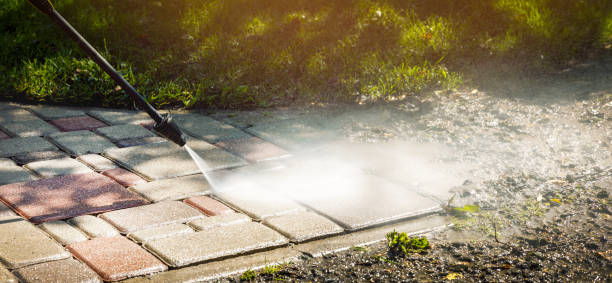 Best Fence Cleaning  in Warren, MN